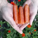 Hands holding three orange crystal towers.