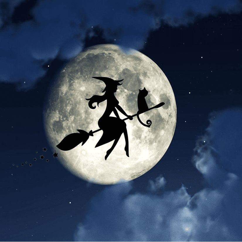 A witch flying in the night sky with her cat.